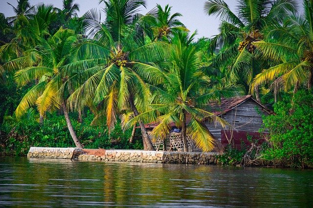alleppey village